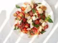 Ein frischer Tomaten Mozzarella Salat, original italienisch, mit Brotstücken und Basilikum, serviert auf einem weißen Teller.