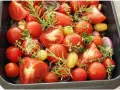 Tomaten einkochen im Backofen: Frische Tomaten, Zwiebeln und Kräuter in einer Auflaufform, bereit für den Ofen.