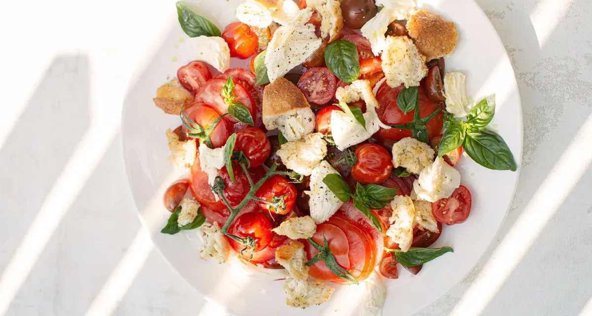 Ein frischer Tomaten Mozzarella Salat, original italienisch, mit Brotstücken und Basilikum, serviert auf einem weißen Teller.