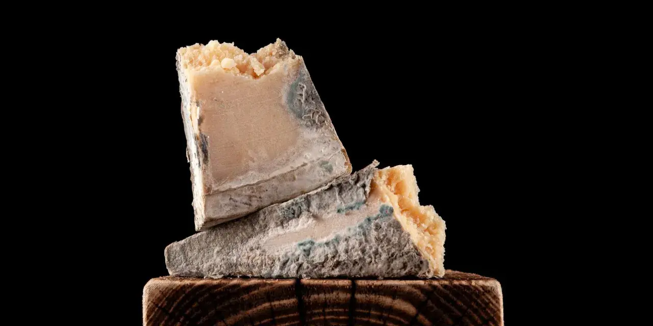 Zwei Stück verdorbener Parmesan mit blau-grünem Schimmel, die auf einem Holzklotz liegen. So sieht schlechter Parmesan aus.