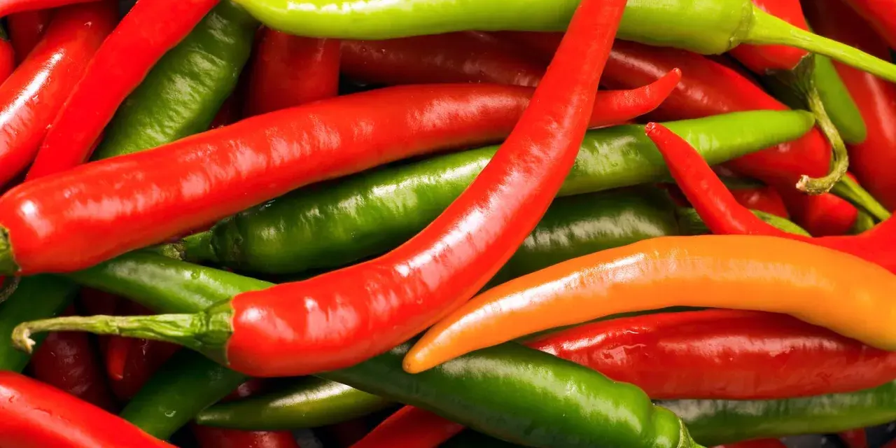 Ein Haufen bunter Chilis, rot, grün und orange. Diese peperoni sind scharf und bereit für die Küche.