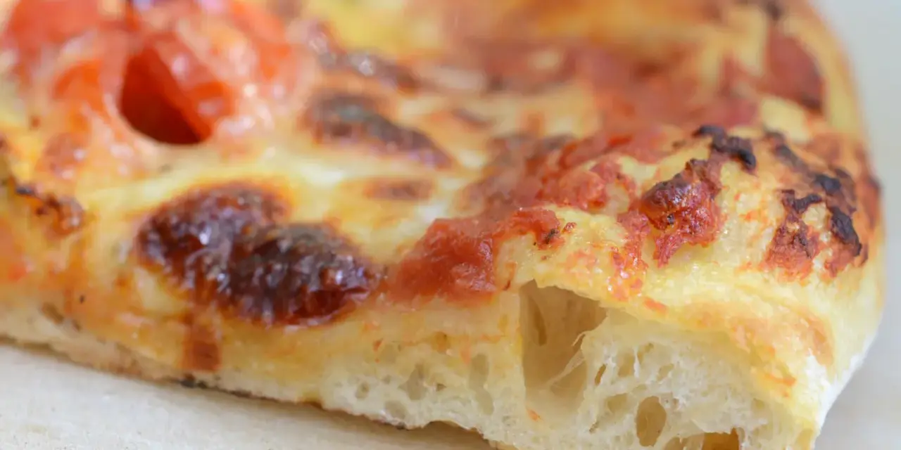 Ein Stück Pizza mit geschmolzenem Käse und Tomaten. Der Teig ist luftig und goldbraun gebacken, typisch für eine Pizza Sourdough.