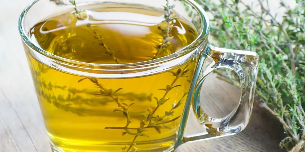 Ein Glas mit goldenem Thymiantee, daneben ein Bund frischer Thymian. Man kann den Thymian roh essen, aber Tee ist auch lecker.