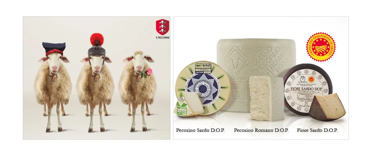 Drei Schafe mit Hüten und Glocken, daneben verschiedene Pecorino-Käsesorten. Pecorino ist ein italienischer Hartkäse aus Schafsmilch.