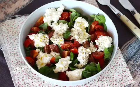 Frischer Salat mit Tomaten und cremigem Käse, der aussieht, als wäre er **burrata selber machen** leicht gemacht.