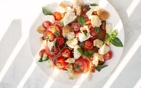 Ein frischer Tomaten Mozzarella Salat, original italienisch, mit Brotstücken und Basilikum, serviert auf einem weißen Teller.
