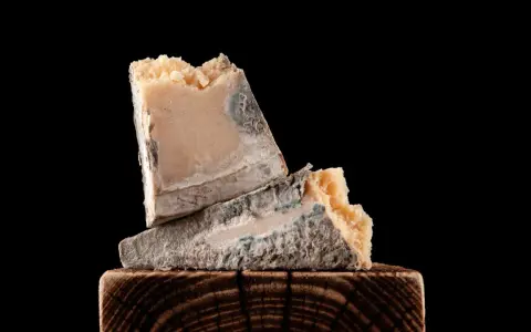 Zwei Stück verdorbener Parmesan mit blau-grünem Schimmel, die auf einem Holzklotz liegen. So sieht schlechter Parmesan aus.