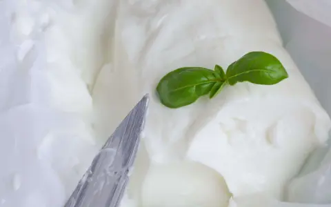 Cremiger Stracchino Käse mit Basilikum, bereit für ein köstliches Stracchino Rezept. Ein Messer liegt daneben.