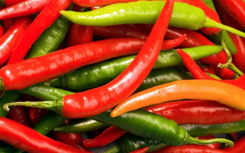 Ein Haufen bunter Chilis, rot, grün und orange. Diese peperoni sind scharf und bereit für die Küche.