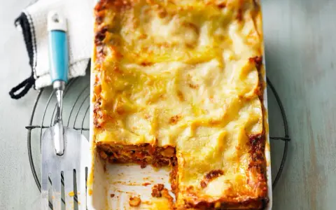 Ein frisch gebackenes, goldbraunes Lasagne-Rezept, original italienisch, mit einer Portion entnommen.