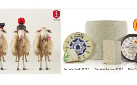 Drei Schafe mit Hüten und Glocken, daneben verschiedene Pecorino-Käsesorten. Pecorino ist ein italienischer Hartkäse aus Schafsmilch.