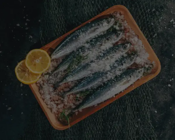 Frische Sardinen und Sardellen, auf einem Holzbrett mit Salz und Zitrone, ein kulinarischer Unterschied.