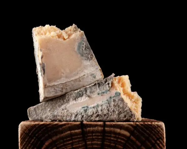 Zwei Stück verdorbener Parmesan mit blau-grünem Schimmel, die auf einem Holzklotz liegen. So sieht schlechter Parmesan aus.