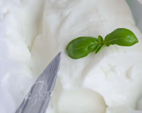 Cremiger Stracchino Käse mit Basilikum, bereit für ein köstliches Stracchino Rezept. Ein Messer liegt daneben.
