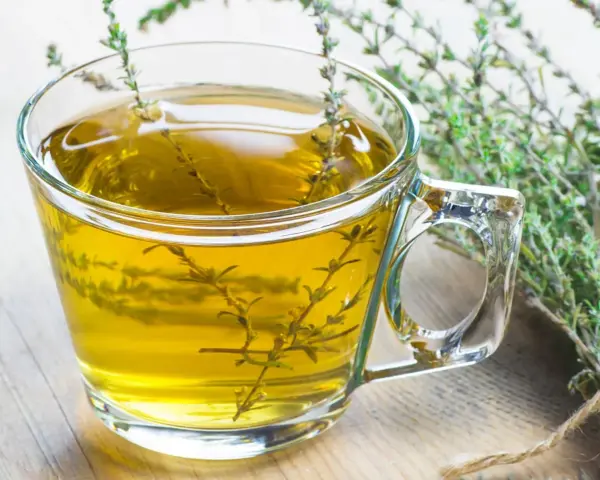 Ein Glas mit goldenem Thymiantee, daneben ein Bund frischer Thymian. Man kann den Thymian roh essen, aber Tee ist auch lecker.