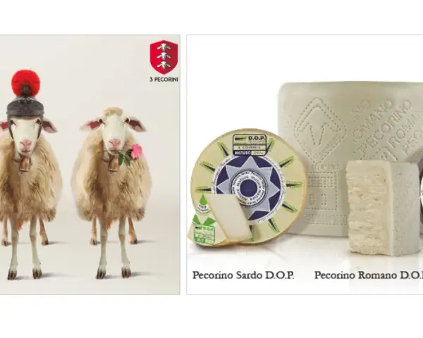 Drei Schafe mit Hüten und Glocken, daneben verschiedene Pecorino-Käsesorten. Pecorino ist ein italienischer Hartkäse aus Schafsmilch.