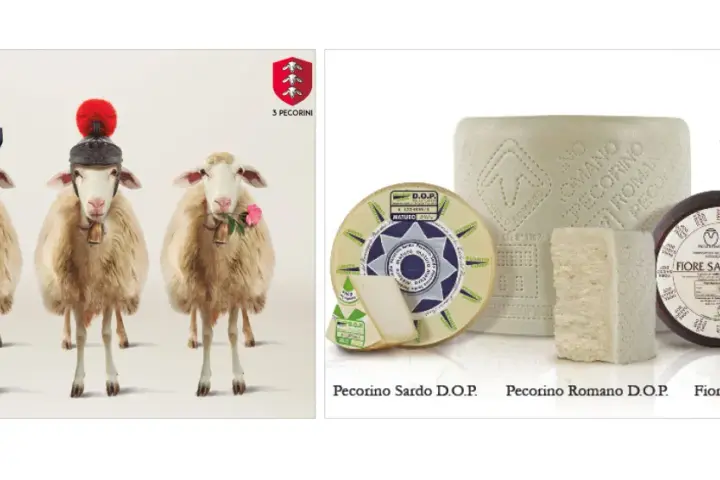 Drei Schafe mit Hüten und Glocken, daneben verschiedene Pecorino-Käsesorten. Pecorino ist ein italienischer Hartkäse aus Schafsmilch.