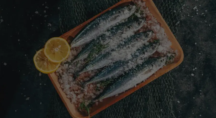 Frische Sardinen und Sardellen, auf einem Holzbrett mit Salz und Zitrone, ein kulinarischer Unterschied.