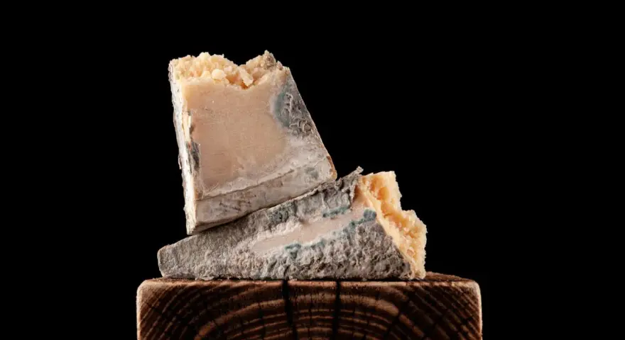 Zwei Stück verdorbener Parmesan mit blau-grünem Schimmel, die auf einem Holzklotz liegen. So sieht schlechter Parmesan aus.