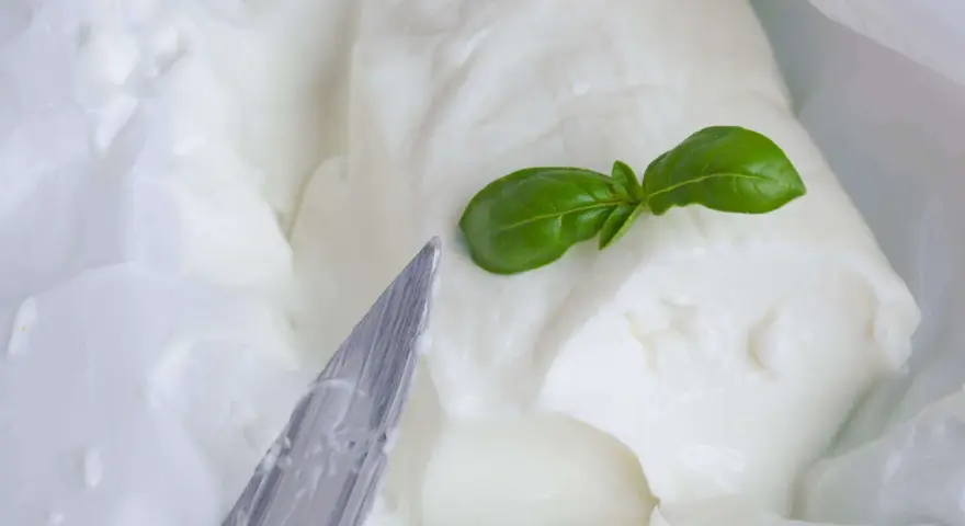 Cremiger Stracchino Käse mit Basilikum, bereit für ein köstliches Stracchino Rezept. Ein Messer liegt daneben.
