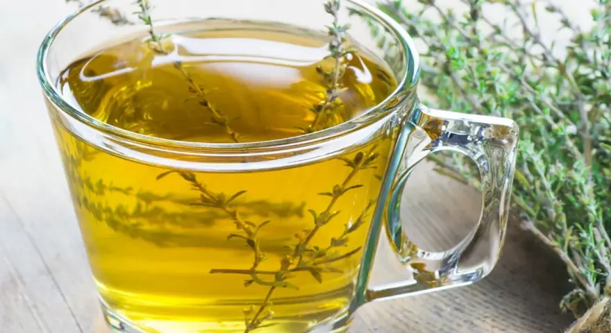 Ein Glas mit goldenem Thymiantee, daneben ein Bund frischer Thymian. Man kann den Thymian roh essen, aber Tee ist auch lecker.