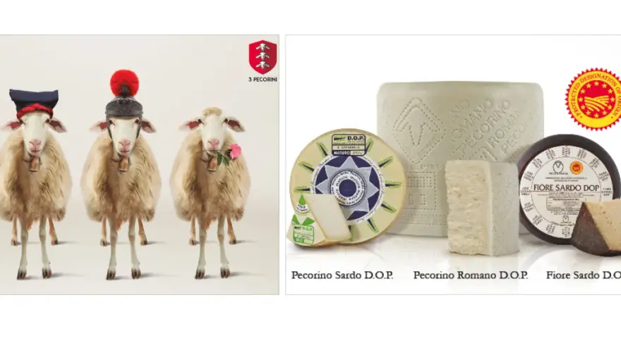 Drei Schafe mit Hüten und Glocken, daneben verschiedene Pecorino-Käsesorten. Pecorino ist ein italienischer Hartkäse aus Schafsmilch.