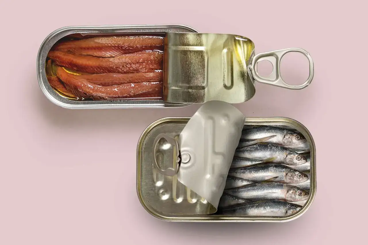 Zwei Dosen Fisch: oben Sardellen, unten Sardinen. Der Unterschied zwischen Sardinen und Sardellen wird hier deutlich.